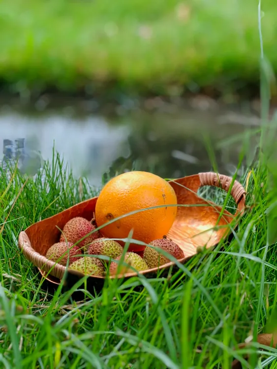 手作铜船形果盆紫铜绿青褐金24×14×5cm 