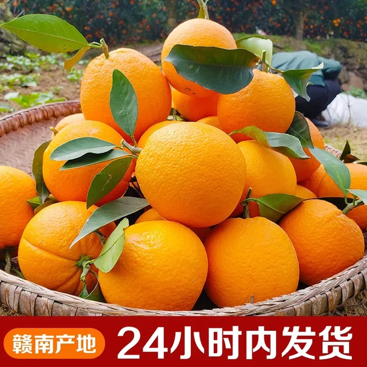 《赣南脐橙》地标认证2024新鲜现摘现发9甜1酸橙子味十足3斤