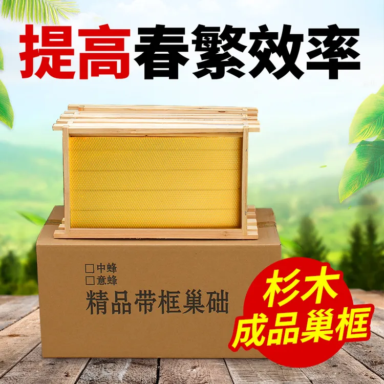 成品巢框中蜂杉木带框巢础中峰煮蜡蜂箱专用养蜂工具巢脾巢皮蜂框
