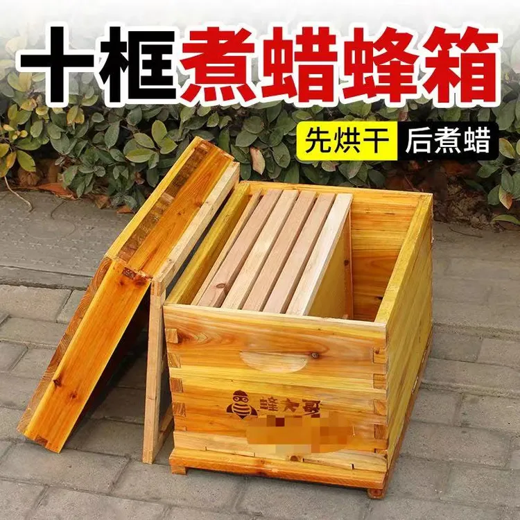 十框蜂箱中蜂杉木煮蜡密蜂箱小型家用土蜜蜂标准箱大箱小箱子批发