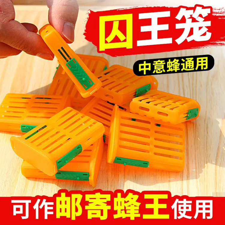 新款多功能囚王笼中蜂专用蜂王防逃介王储王育王邮寄王笼蜂场工具
