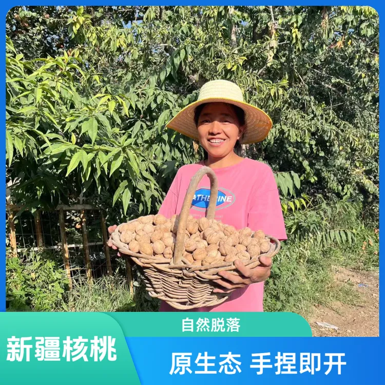 【原生态不水洗核桃】新疆185薄皮核桃自然晾晒不加工原味核桃