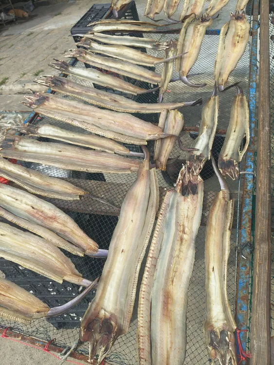 福建特产鳗鱼干特级500g