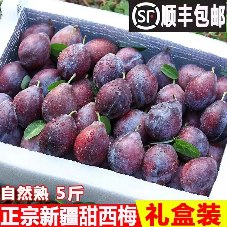 【顺丰空运】5斤甘肃酒泉西梅新鲜现摘现发包甜多汁孕妇新鲜水果3斤