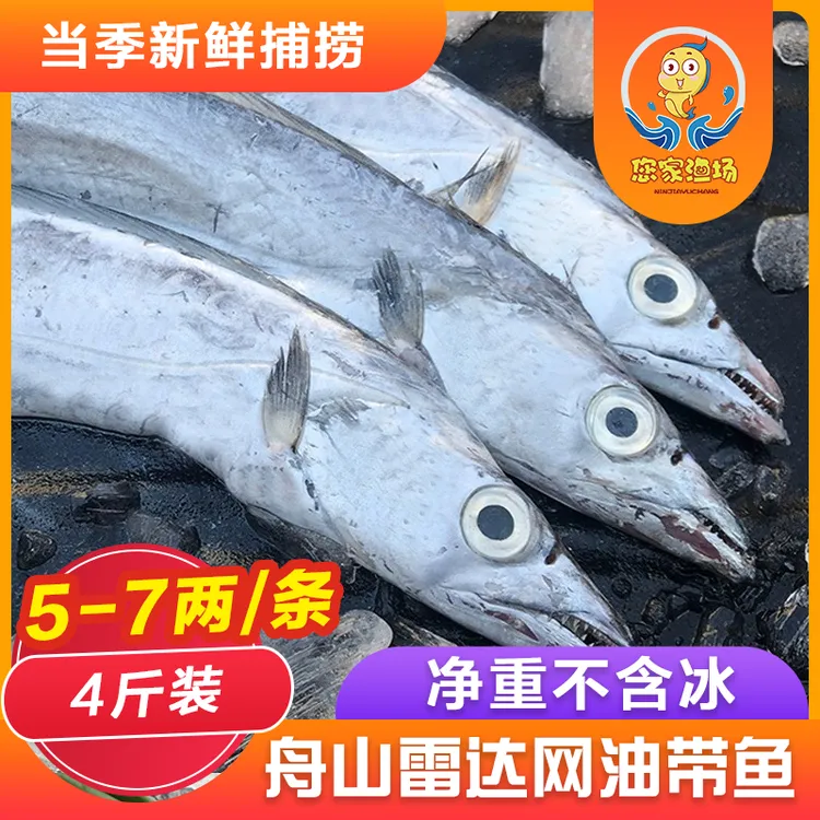 舟山东海雷达网小眼油带鱼新鲜速冻无冰衣 平均5两/条 顺丰包邮