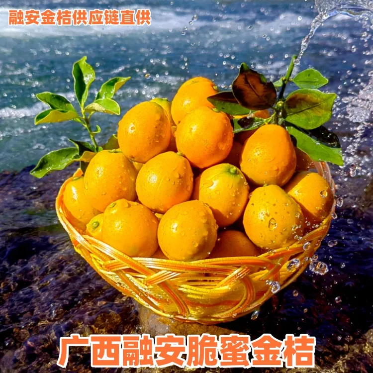 脆蜜金桔3号礼盒装