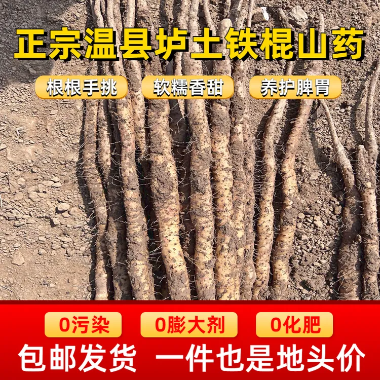 优质新鲜铁棍山药温县正宗垆土铁棍怀山药5斤健康香甜软糯营养