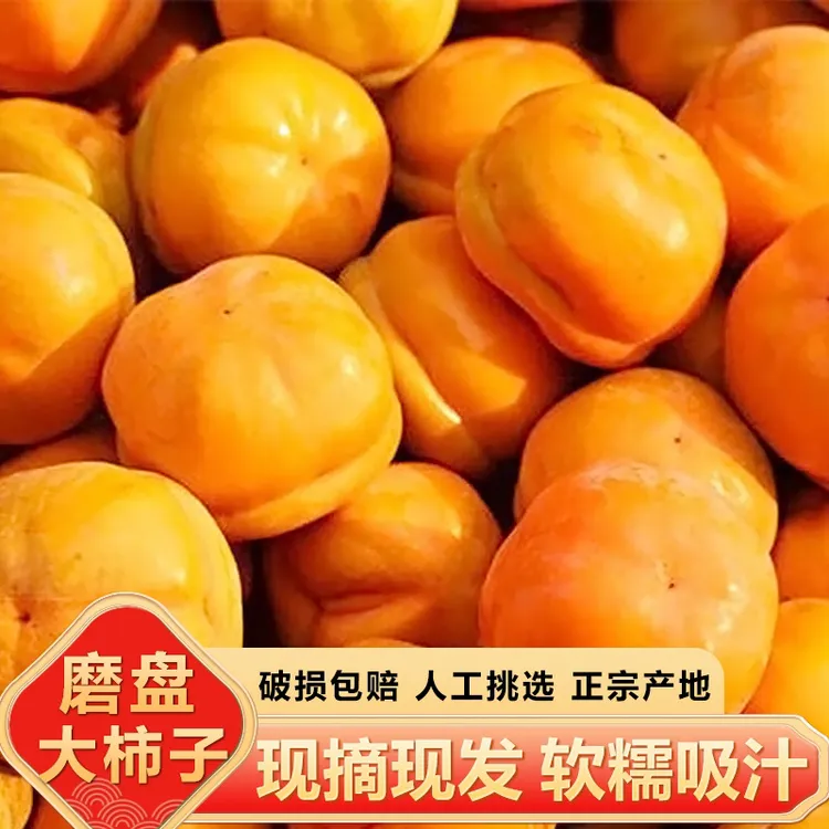 【现摘现发】河北正宗磨盘柿子当季新鲜水果软甜盖柿整箱超甜