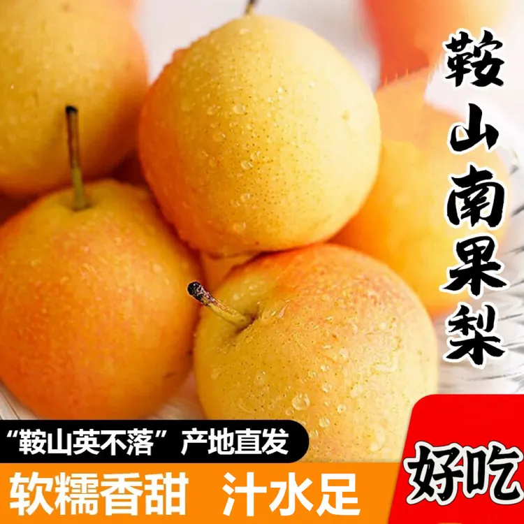 正宗鞍山南果梨 大屯英不落南果梨 软糯香甜5斤包邮Ａ