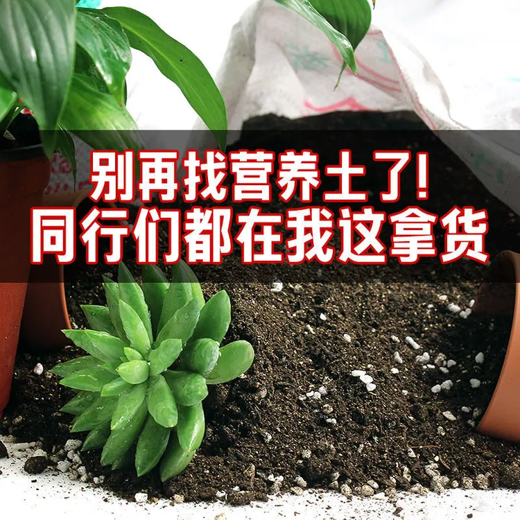 【买50斤送50斤】通用型养花有机营养土厂家直销正宗营养土种植土