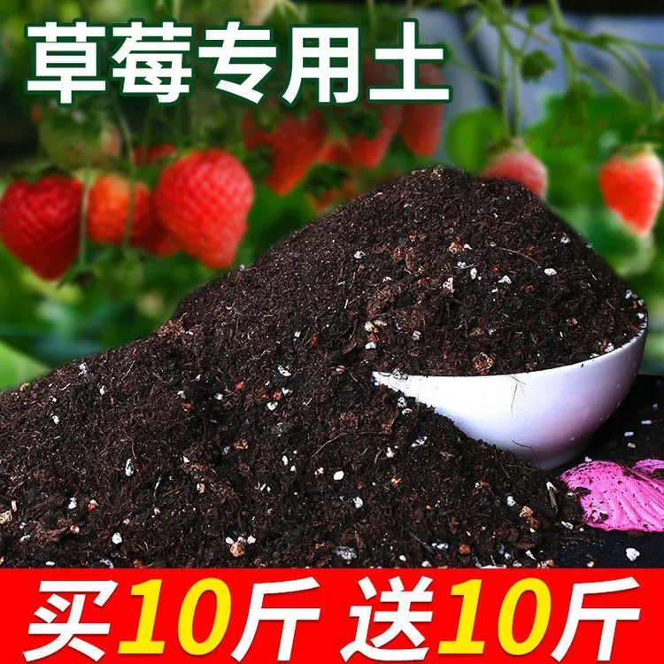 草莓专用土种菜营养土草莓营养土通用养花有机枯萎促进适用通用土