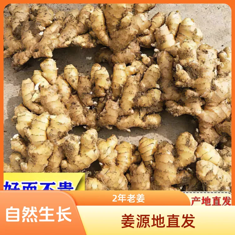 正宗云南小黄姜食用月子农家老姜生姜味浓郁坏果包赔现场称重发货