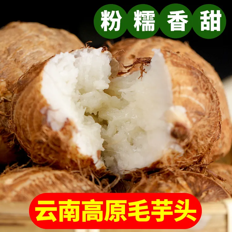 言片光正宗云南牛奶小芋头  新鲜粉糯毛芋头粉芋艿香芋高山芋头