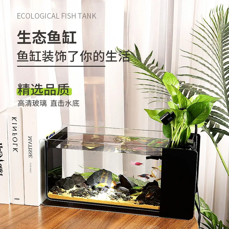 配套桌面溪流缸免换水小鱼缸办公室生态缸微景观新款颜值包邮