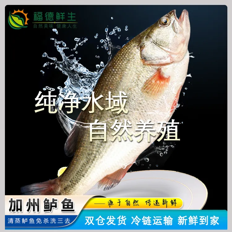 福德鲜生｜加州鲈鱼 清蒸鲈鱼 淡水鲈鱼 鲜活开背急冻锁鲜肉质鲜美