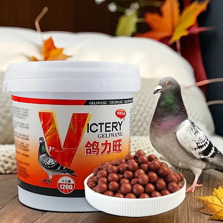 汉诺威鸽力旺1200粒大桶装/种鸽幼鸽信鸽赛鸽用品鸽子营养优质