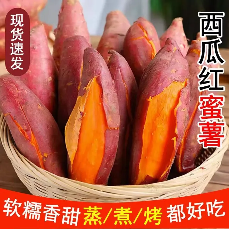 2025现挖现发西瓜红蜜薯软糯香甜