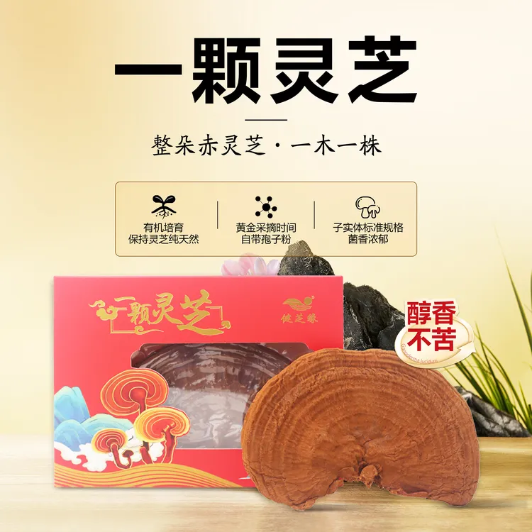 「中秋好礼」整朵有机赤灵芝附原生孢粉灵芝不苦可切片泡酒煲汤冲茶