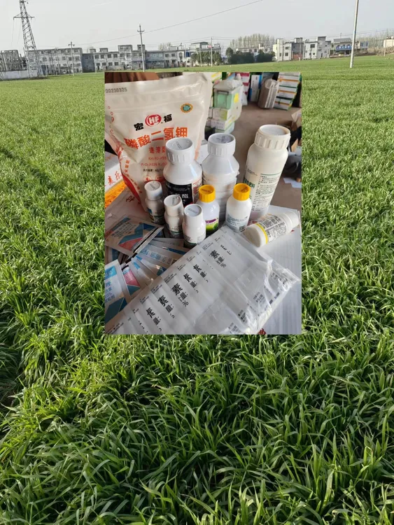 一套十亩地】一喷五防】大套餐防虫防病营养增产