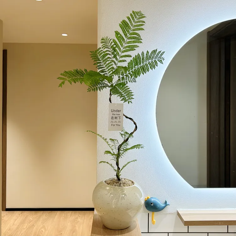 S型老桩禅意蓝花楹盆栽盆景室内客厅办公室桌面侘寂风花卉绿植