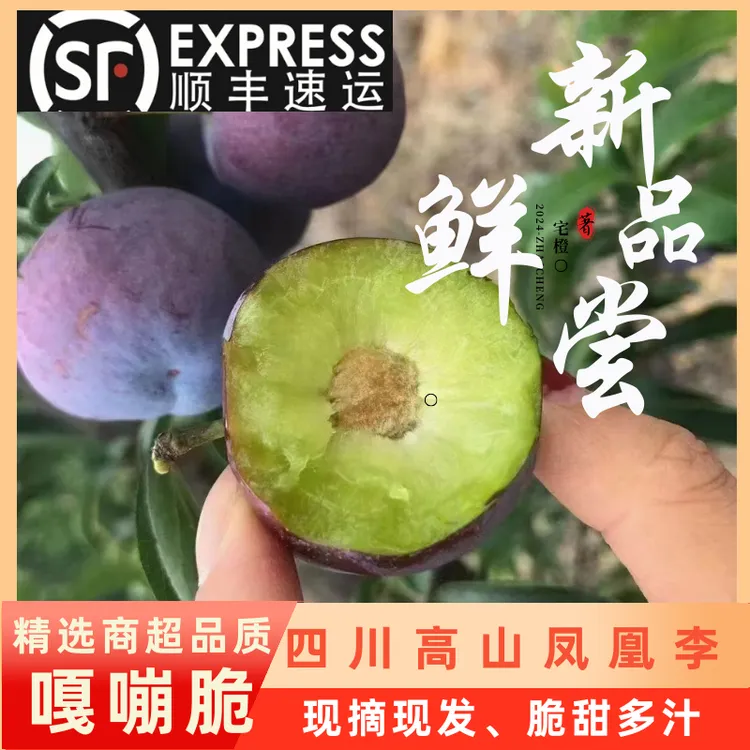 【农村四哥】四川高山凤凰李五月脆新鲜应季水果脆甜多汁5斤包邮