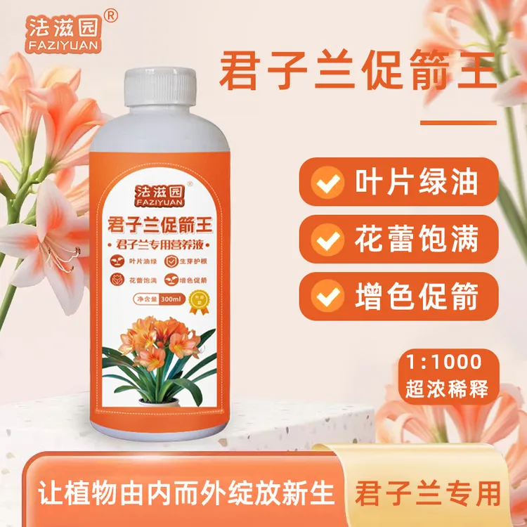 法滋园【君子兰促箭王】护根绿叶促花箭保花增色延长花期防掉叶烂根