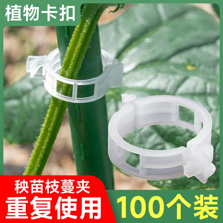 绑蔓夹绑枝夹农园种植爬藤落秧扶蔓固定夹塑料吊蔓夹防倒伏园艺夹