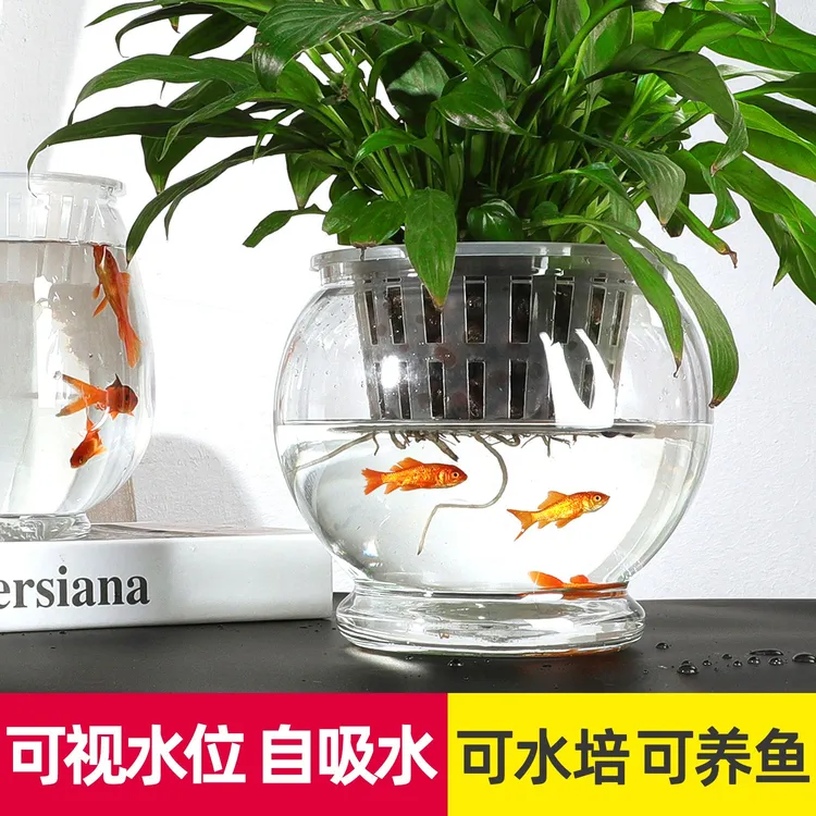 懒人自动吸水花盆透明圆形清仓塑料盆简约仿陶瓷绿萝室内水培花盆