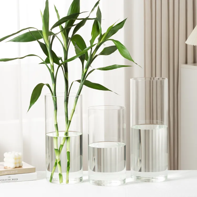 玻璃花瓶高颜值简约透明水养富贵竹直筒花瓶水培插花客厅装饰摆件