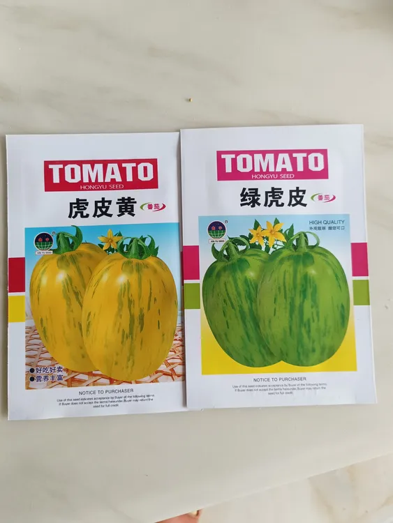 【虎皮黄柿子+绿虎皮】种子300粒水果柿子甜面起沙