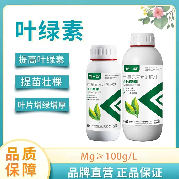 邦一季叶绿素含氨基酸提苗壮棵增绿增厚瓜果蔬菜果树大田通用肥料