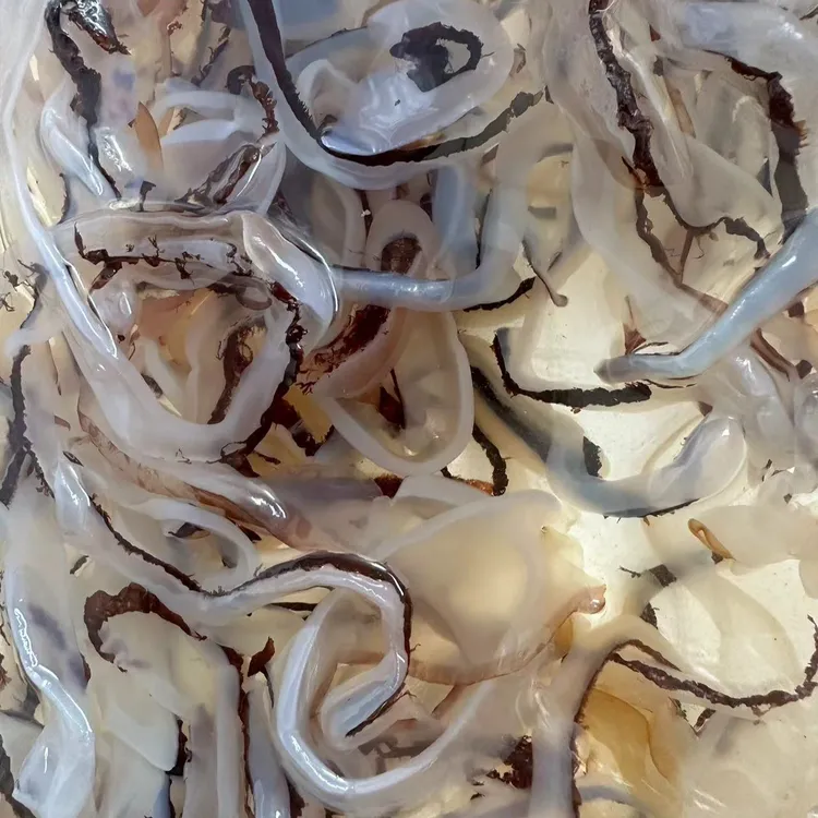 田横本地海蜇    真武海蜇丝