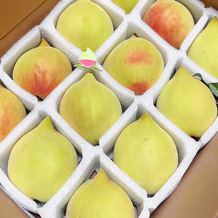 连平上坪鹰嘴蜜桃礼盒装12个精品特大果单个180克顺丰新鲜美味