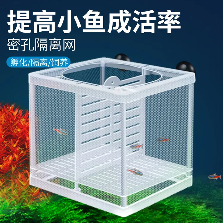 鱼缸隔离网隔离盒孔雀鱼繁殖盒斗鱼孵化器繁殖箱悬浮式产子分离网