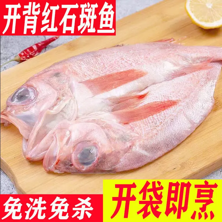 【开背红石斑鱼】去麟去腮去内脏每条600/900克鱼大眼鱼石斑鱼速冻