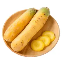 新疆黄胡萝卜 400g/份