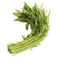 空心菜 约400g