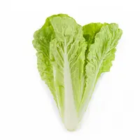 杭白菜 约280g