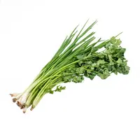 【日日鲜】香菜葱组合 80g/份
