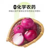有机洋葱（迷你小洋葱）400g/份洋葱同城送洋葱同城送