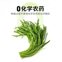 有机空心菜 300g/份