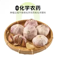 有机大蒜 180g/份