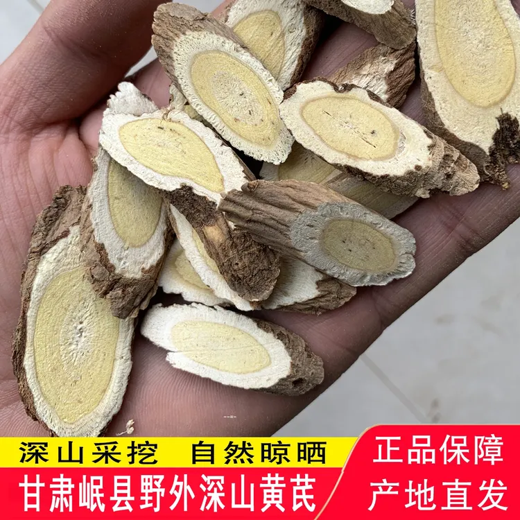 老黄芪 蛋黄芯 甘肃岷县野外深山采挖 