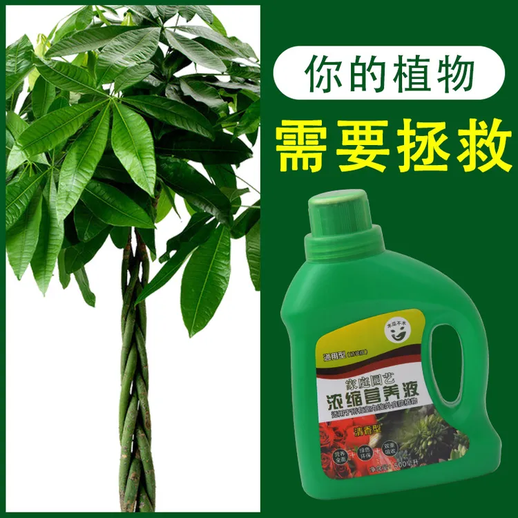 直销植物营养液 浓缩植物通用型多肉发财树蔬菜叶面肥料