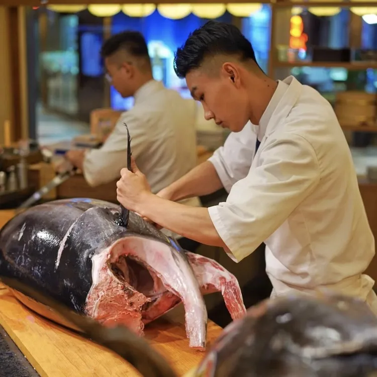 川源顺 冰鲜蓝鳍金枪鱼现杀标准链接 赤肉、中腹、大腹、刮骨肉包邮