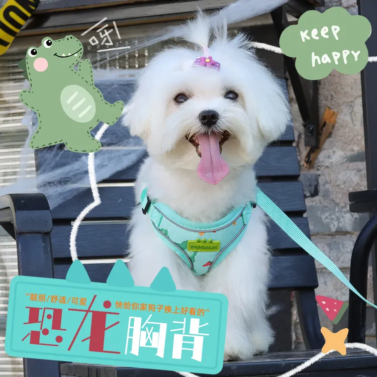 朵猫猫狗狗胸背带恐龙印花背心式中小型犬泰迪法斗遛狗绳小狗狗链