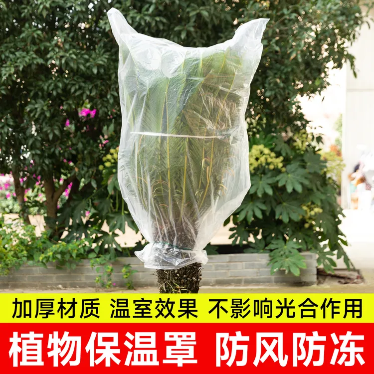 植物防寒罩透明果树过冬防冻防雨树木保护罩防尘袋花卉盆栽保温膜商品图