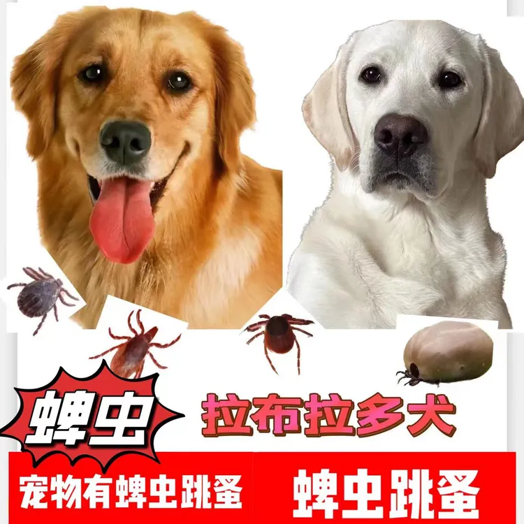 猫狗通用宠物体内外驱虫粉除蜱虫跳蚤免洗蜱虫粉