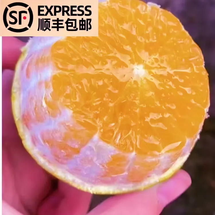 【顺丰包邮】爱媛果冻橙新鲜橙子露天种植青皮爱媛橙果冻橙现摘现发