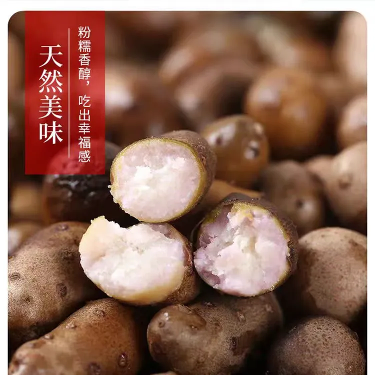 河北新鲜铁棍山药豆现采现发净重5斤包邮